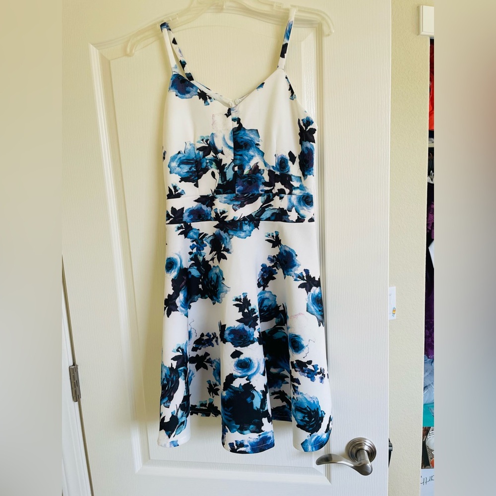 Floral Blue and White Dress